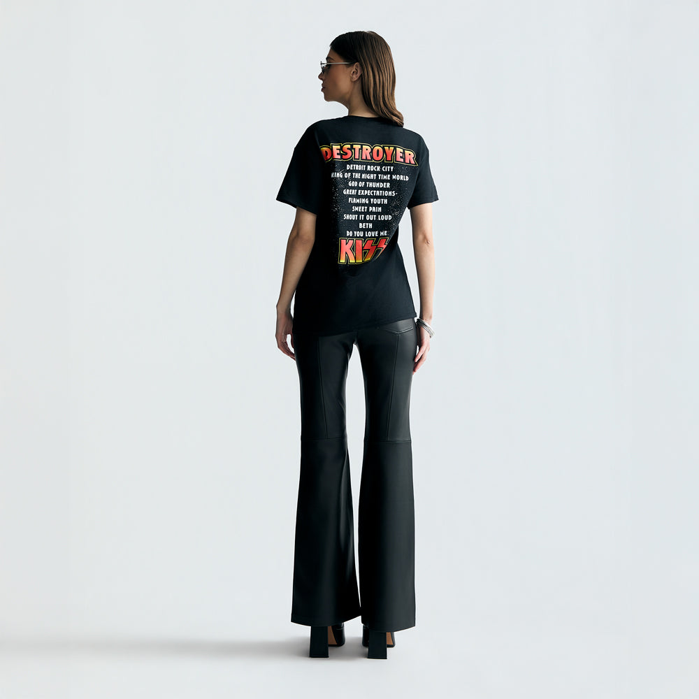 Destroyer 50th Anniversary Deluxe Picture Disc + Destroyer 50th